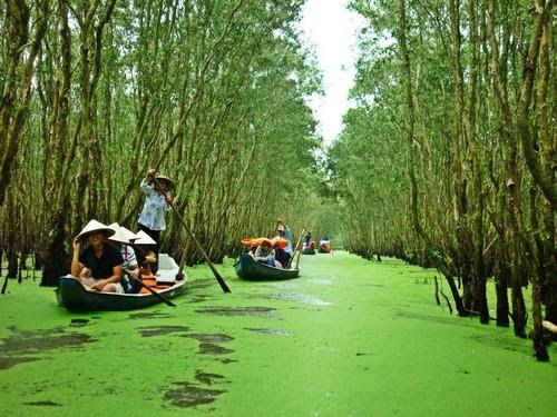 Top 15 Địa Điểm Du Lịch Sinh Thái Đẹp Nhất Việt Nam