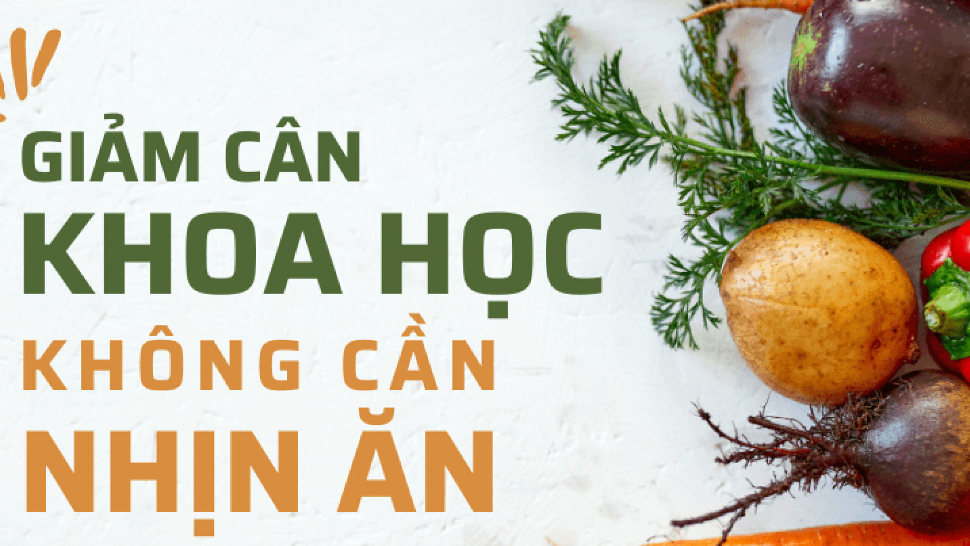 cach giam can dung khoa hoc