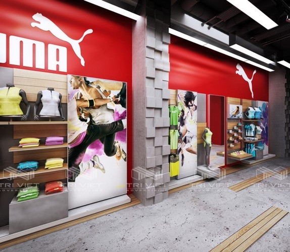 thiết kế showroom đẹp