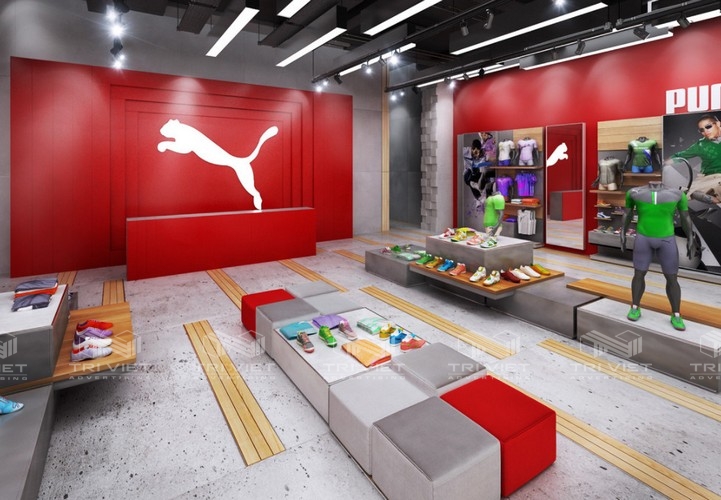 thiết kế showroom